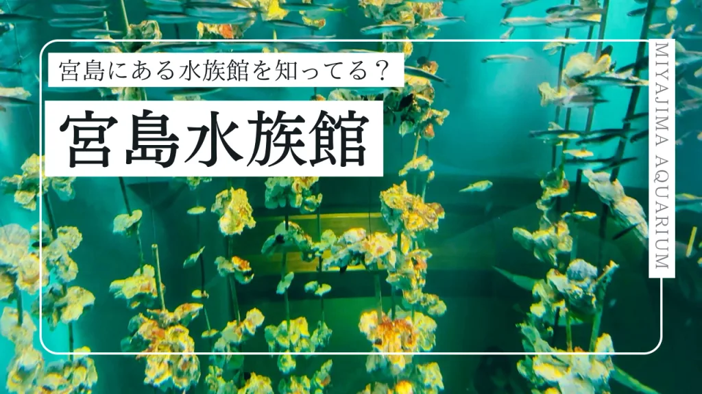 宮島に水族館があるって知ってた？宮島水族館を徹底紹介！