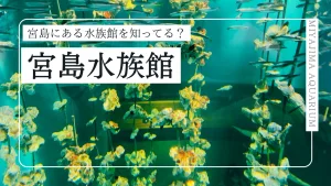 宮島に水族館があるって知ってた？宮島水族館を徹底紹介！