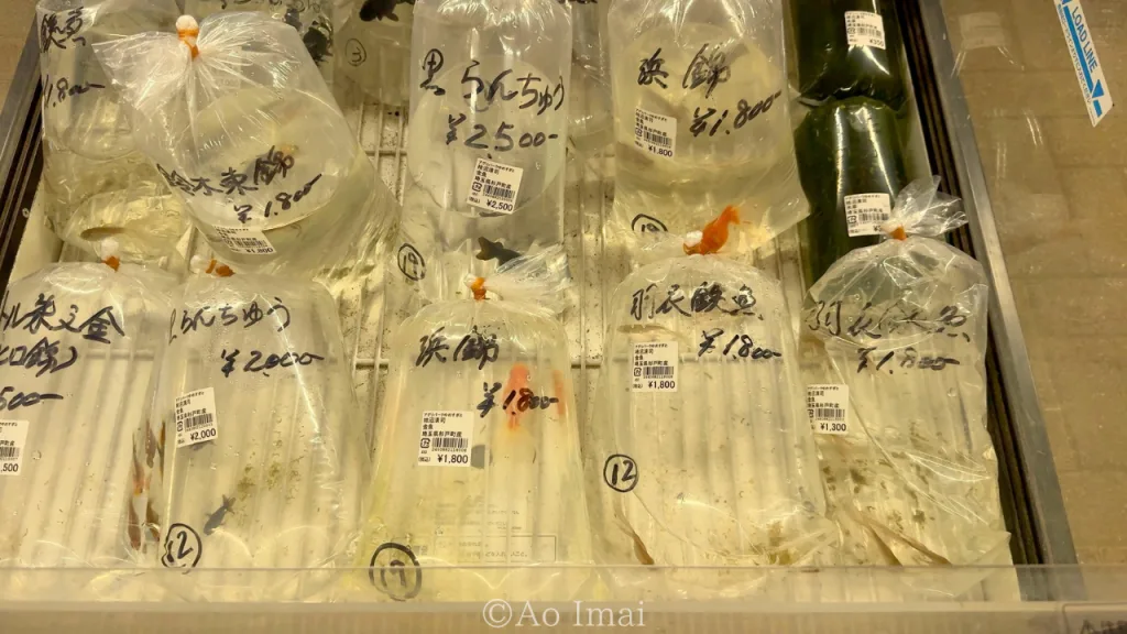 アグリパークゆめすぎとの花屋で売ってる魚
