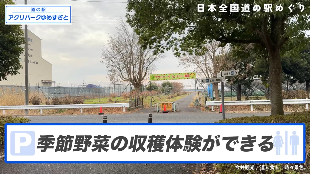 アグリパークゆめすぎとのカントリー農園